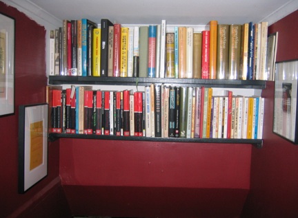 The Bookshelves on the Stairs