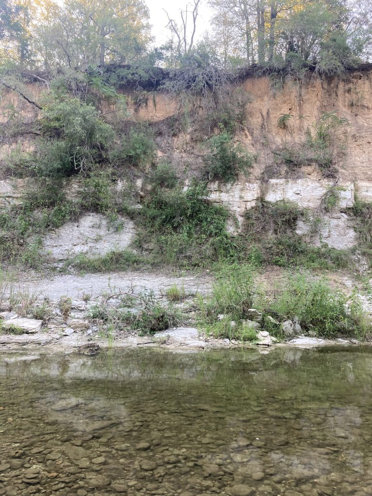 SEDIMENTARY GEOLOGY OF ONION CREEK