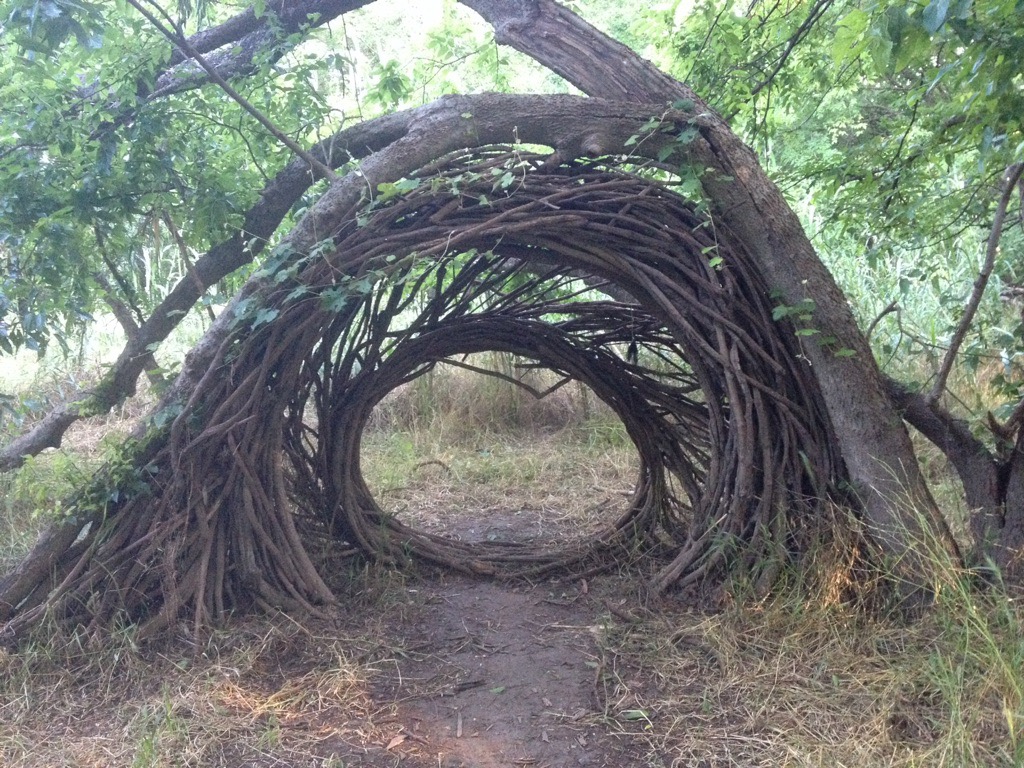 Tree Portal