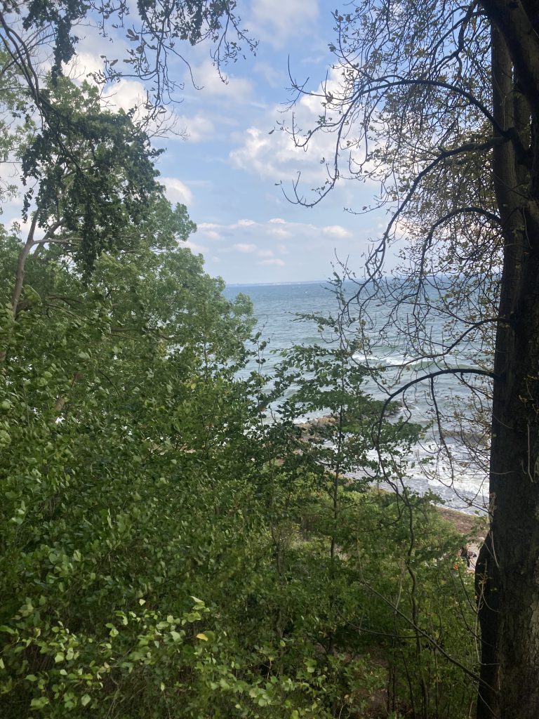 the view from the hill, easy nature at Louisiana, Denmark